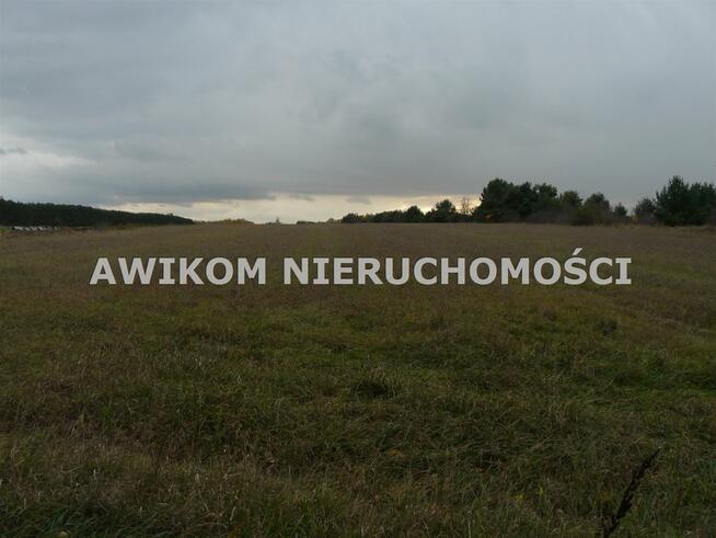 Działka siedliskowa Puszcza Mariańska Stary Łajszczew