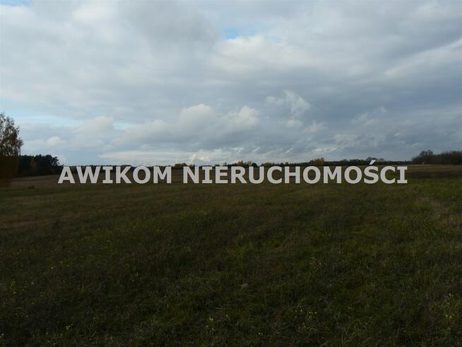 Działka rolna Puszcza Mariańska Wycześniak