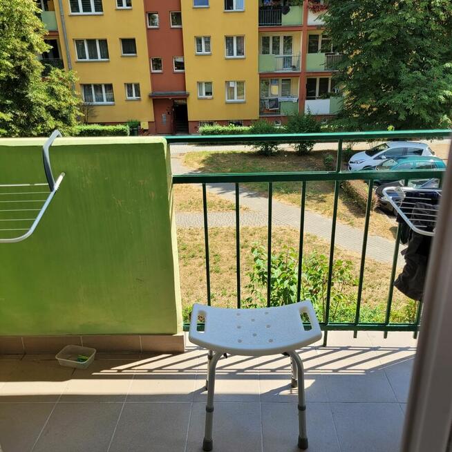 mieszkanie do wynajecia