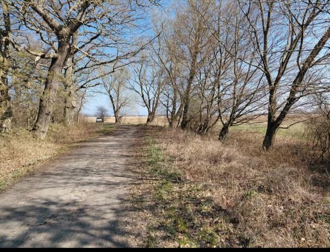 Okazja! Działka Mrzeżyno (Roby) 3km do morza