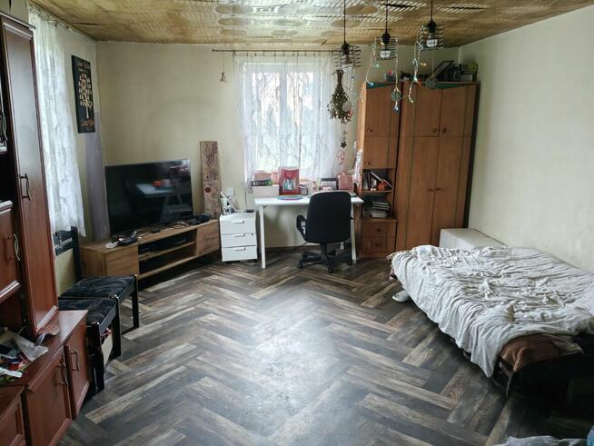 Syndyk sprzeda - Nowy Szczeglin