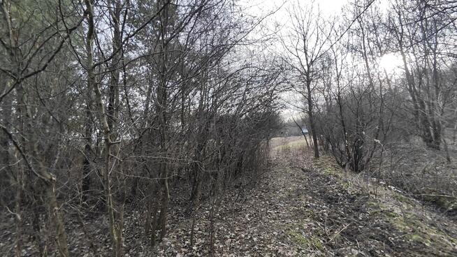 Działka 3000m2 Wielopole, gm. Olesno