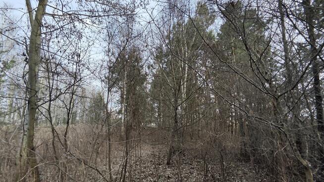 Działka 3000m2 Wielopole, gm. Olesno