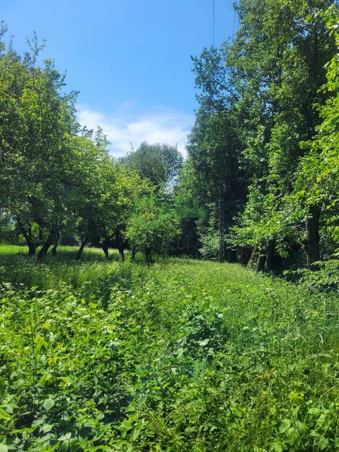 Działka budowlana Krzeszowice, Podleśna