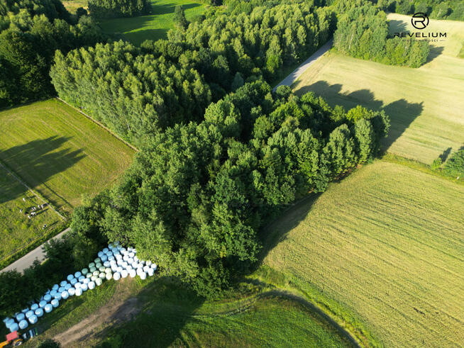Działka rekreacyjna Nowe Łosienice gm. Stężyca,