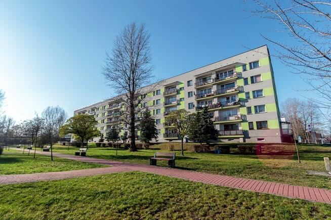 Jasna kawalerka z balkonem- 11 Listopada 9