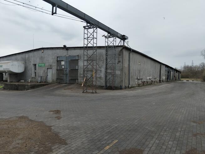 Sprzedam magazyn płaski z suszarnią i BIN 2x500 t