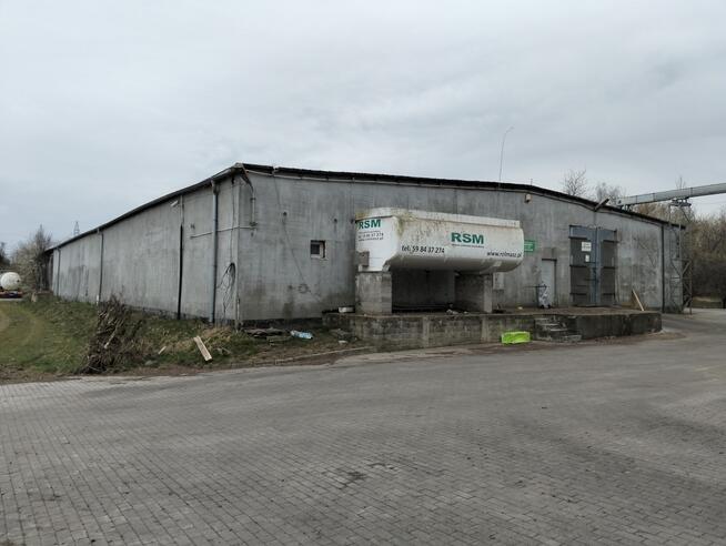 Sprzedam magazyn płaski z suszarnią i BIN 2x500 t