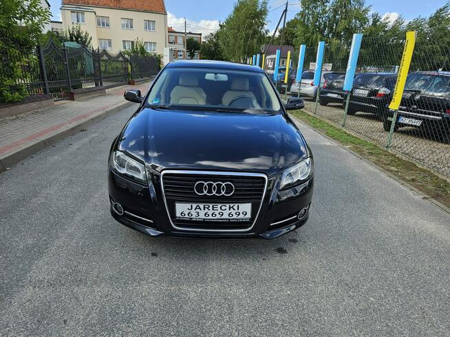 Audi A3 Opłacona Zadbana Serwisowana Fajnie Wyposażona 1 WŁ Po Serwisie