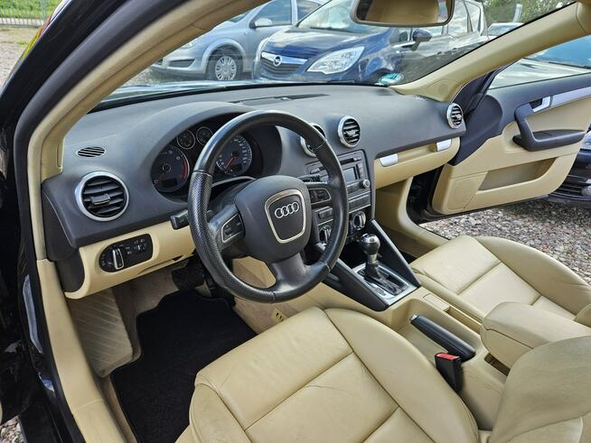 Audi A3 Opłacona Zadbana Serwisowana Fajnie Wyposażona 1 WŁ Po Serwisie