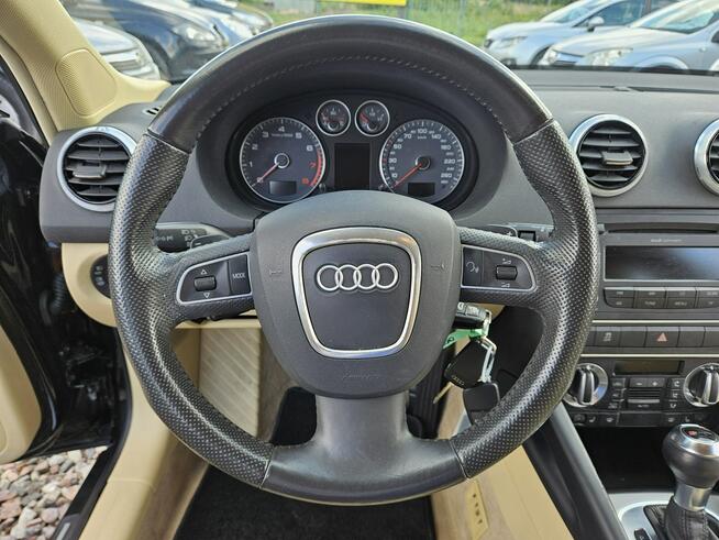 Audi A3 Opłacona Zadbana Serwisowana Fajnie Wyposażona 1 WŁ Po Serwisie