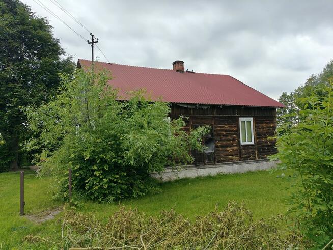Syndyk sprzeda - Nowy Szczeglin