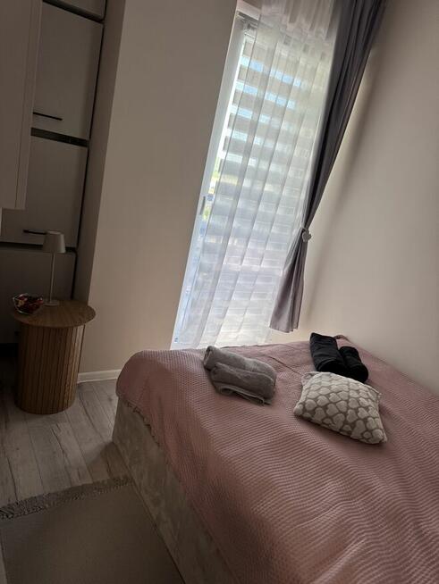 Poszukujesz apartamentu do wynajęcia dla siebie lub firm