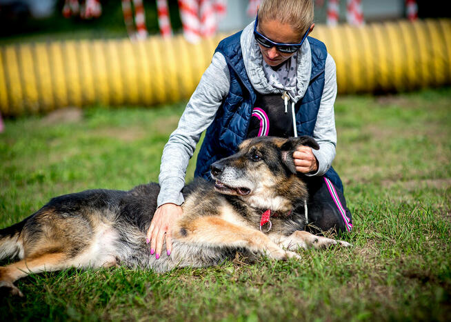 Najdłużej czekający na dom w fundacji – Leo