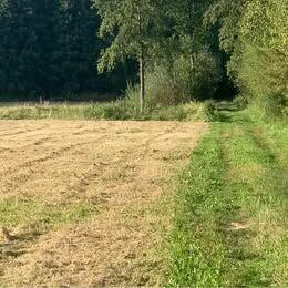 Sprzedam działkę budowlana
