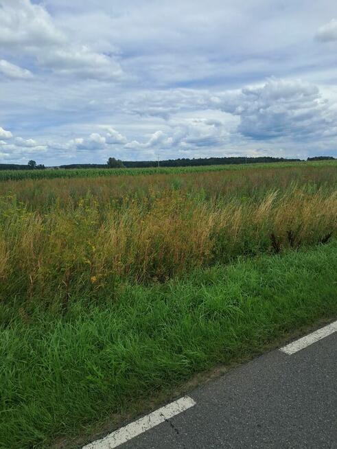 Działki budowlane z bezterminowymi warunkami zabud. – Zborów
