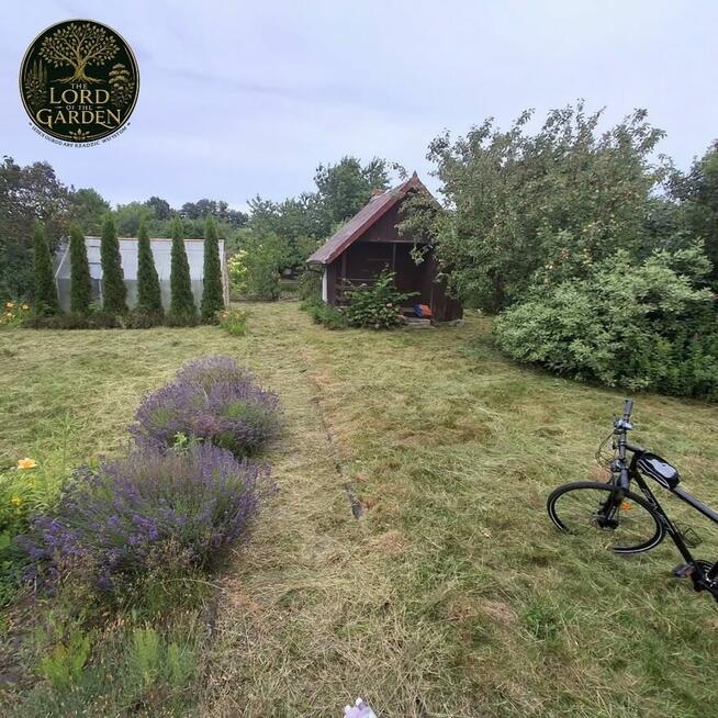 Koszenie trawy, wycinka samosiejek, pielenie itp.