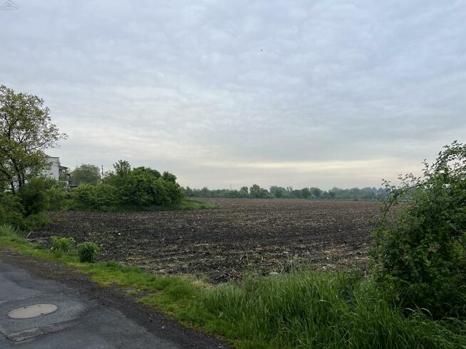 Działka Kalisz