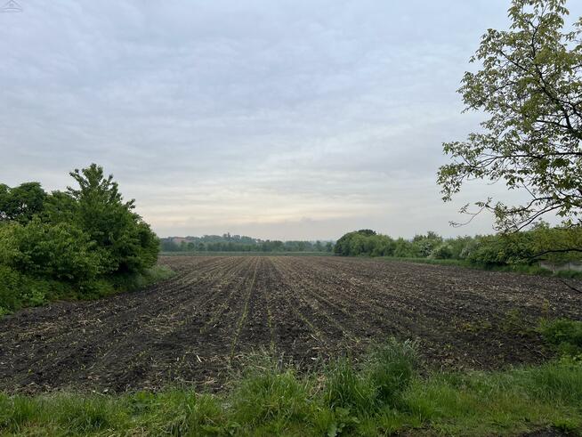 Działka Kalisz