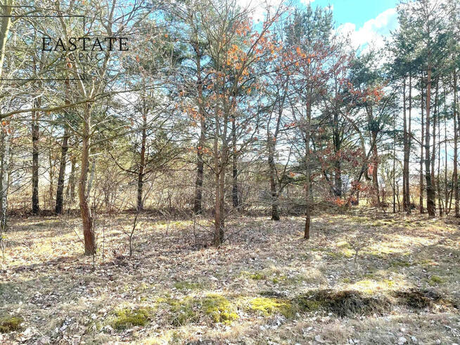 Działka developerska 1737 m²-asfaltowy dojazd.