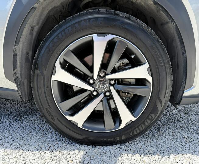 Lexus NX LED, Podgrzewane wentylowane fotele, Kamera cofania, Szyber dach, Navi