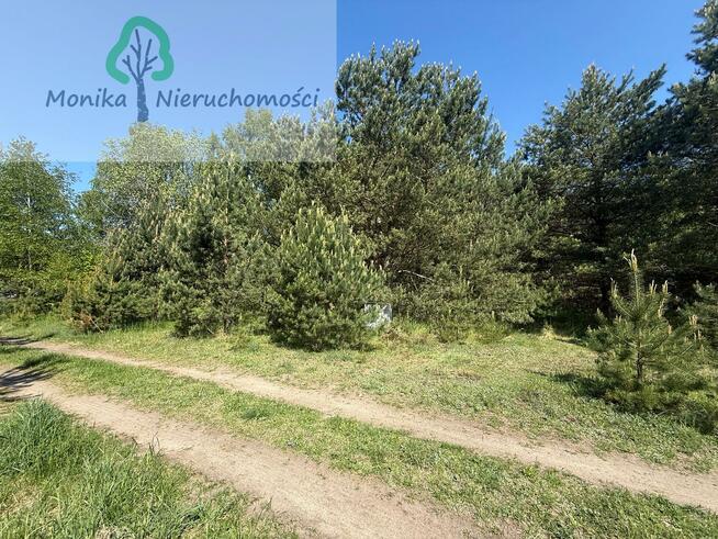 Działka budowlana Kamierowskie Piece gm. Skarszewy, Zielona