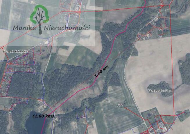 Działka budowlana Kamierowskie Piece gm. Skarszewy, Zielona