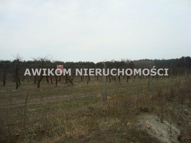 Działka budowlana Many gm. Tarczyn