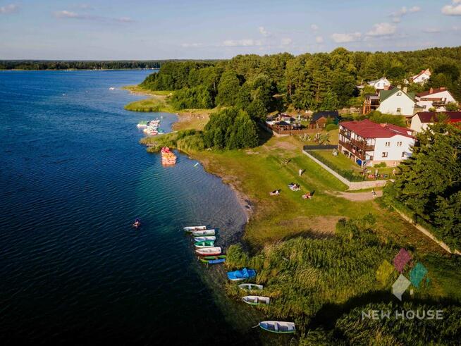 Wśród drzew, 200 m od jeziora Świętajno, widok