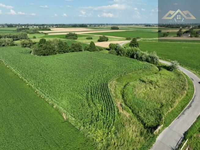 Działka Miechowice Małe gm. Wietrzychowice