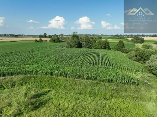 Działka Miechowice Małe gm. Wietrzychowice