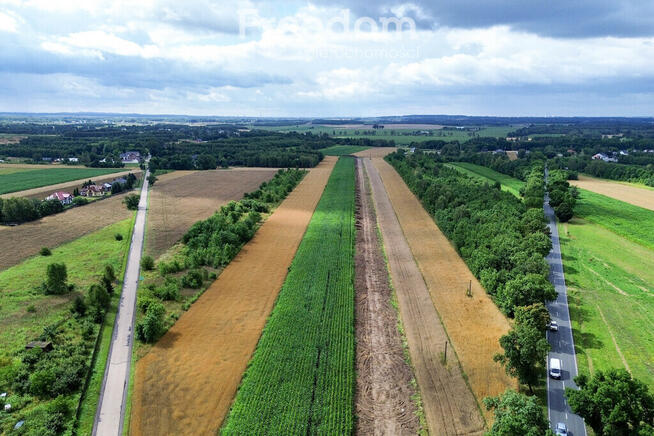 Działka 1,358 ha z opcją podziału | Radostków