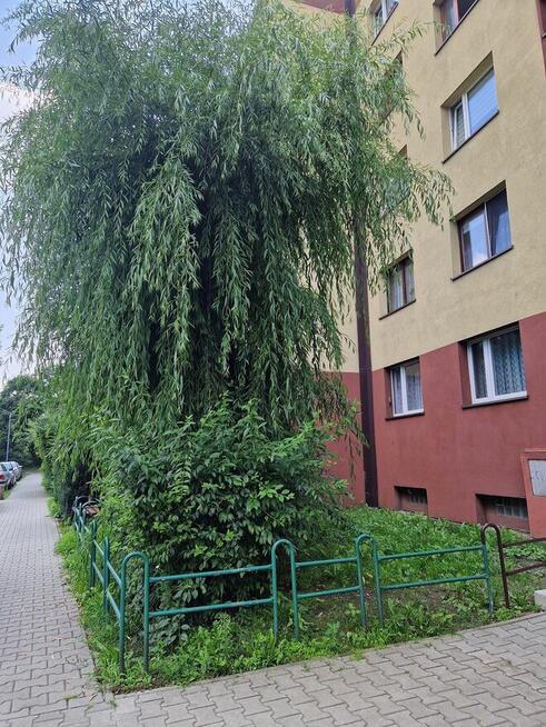 Siemianowice Michałkowice 2 pokoje umeblowane i wyposażone