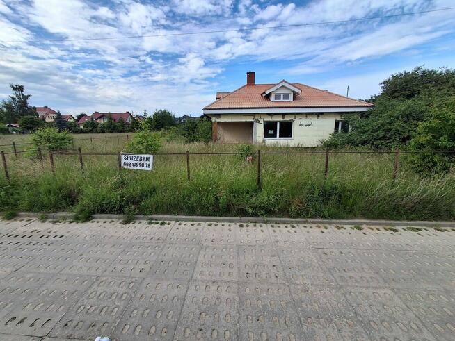 Koszenie trawy, wycinka samosiejek, pielenie itp.