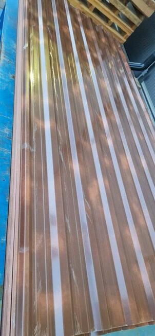 Blacha trapezowa T-18 Anticato II gatunek