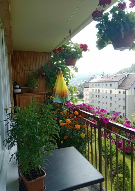 Sprzedam mieszkanie w Ustrzykach Dolnych 63m2