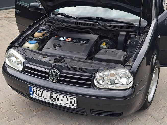 Volkswagen Golf * 1.6 16V* czarny* 5DRZWI* 1.6i ***