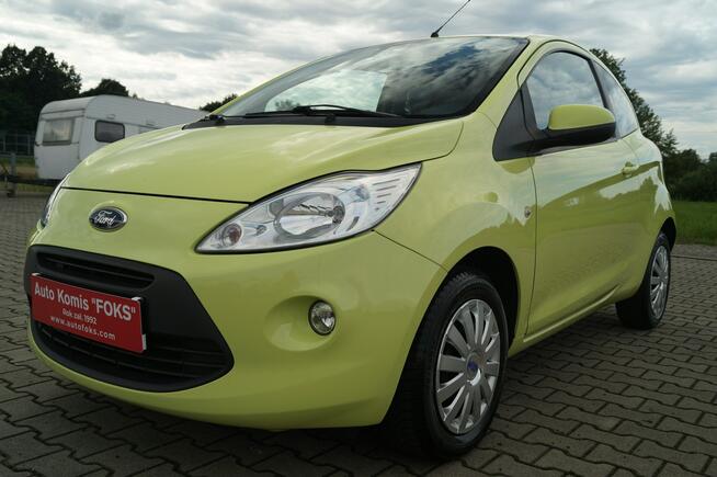 Ford KA 1.25 Benz 69KM Klimatyzacja zadbany od 2 właściciela tylko 125 tys. km