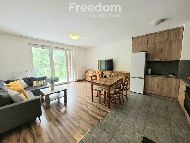 Do wynajęcia apartament w centrum miasta