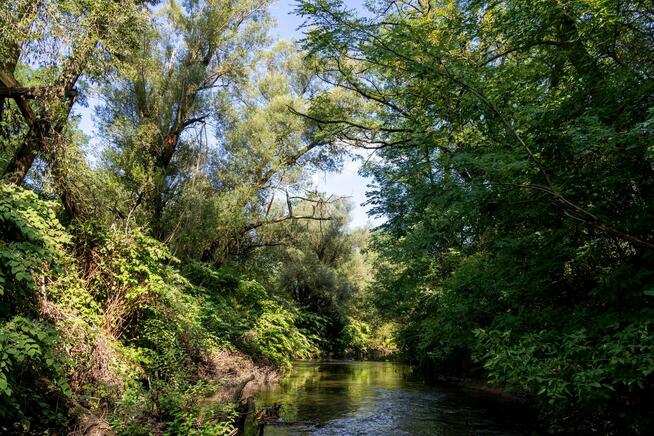 Szukam pracy na wsi z zakwaterowaniem cała Polska