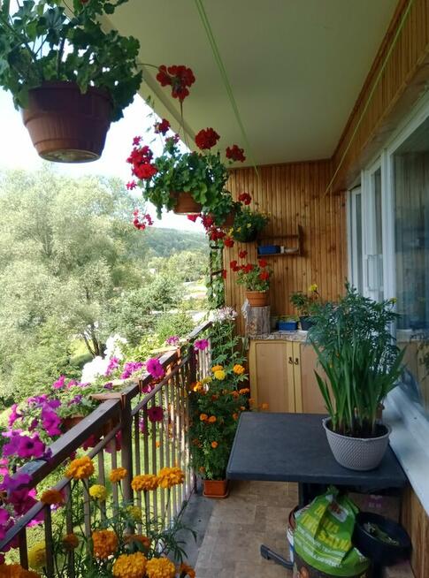 Sprzedam mieszkanie w Ustrzykach Dolnych 63m2