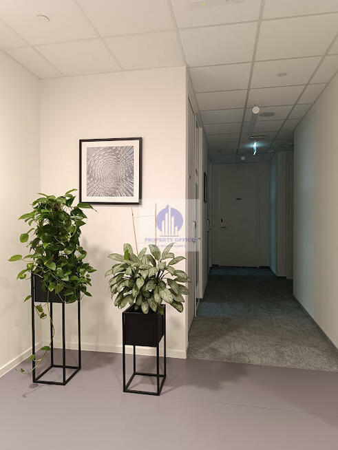 Lokal użytkowy Warszawa Śródmieście, al. Jana Pawła II