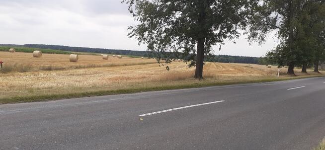 Działka 1,67 ha rolno-inwestycyjna w Lututowie