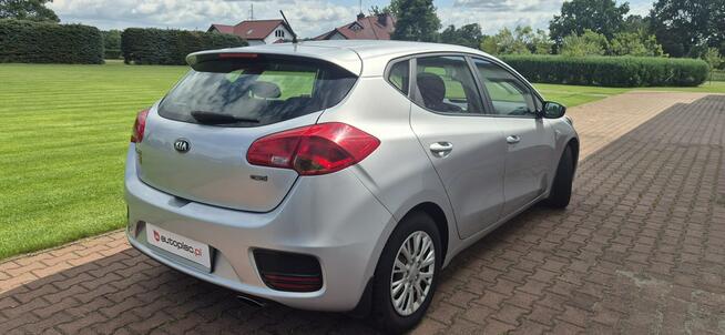 Kia Cee'd LED-MEDIA