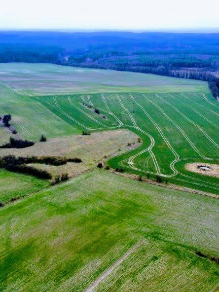 Dom Żelichów gm. Cedynia