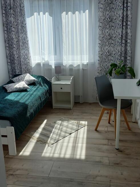 Agroturystyka u Borowej Ciotki