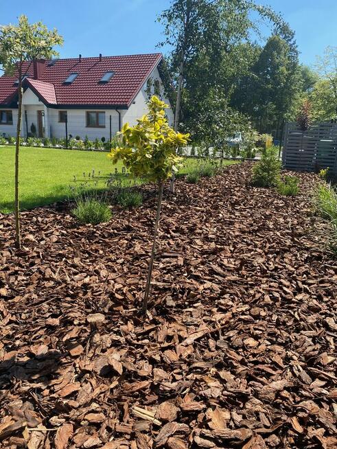 Kora Sosnowa Gruba Premium Sortowana Ogrodowa 80L Opole