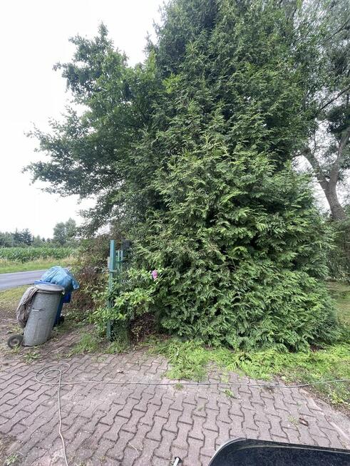 Koszenie i oczyszczanie działek – Wrocław i okolice