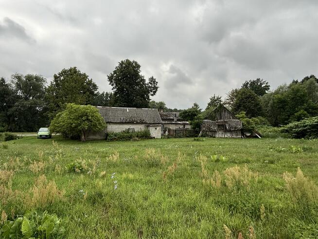 Sprzedam siedlisko 1,2 ha w okolicach Płocka