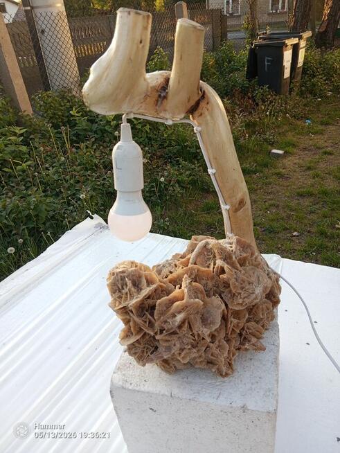 Lampy